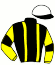 Casaque du jockey de Lion Brodde