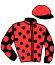 Casaque du jockey de Dona Haydee