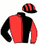 Casaque du jockey de Desert Cat