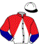 Casaque du jockey de Powwow