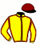 Casaque du jockey de Birdieagle