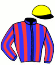 Casaque du jockey de Feliphon