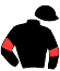 Casaque du jockey de Nashville Petnic