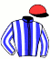 Casaque du jockey de Larry Bird