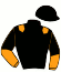 Casaque du jockey de Dreamlike Jog