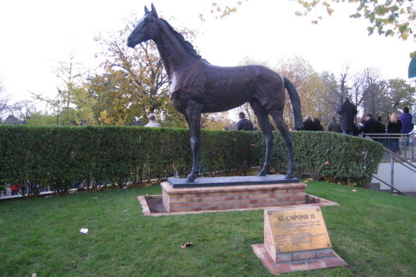 Conséquences du poids sur le cheval (3/3)