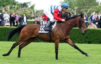 Cheval au galop