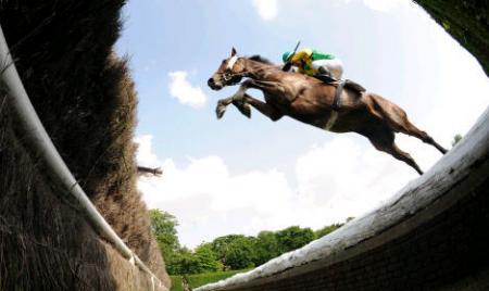 Etudier la santé des chevaux pour faire votre pronostic