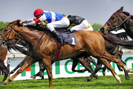 Course de galop Cheval en pleine course.