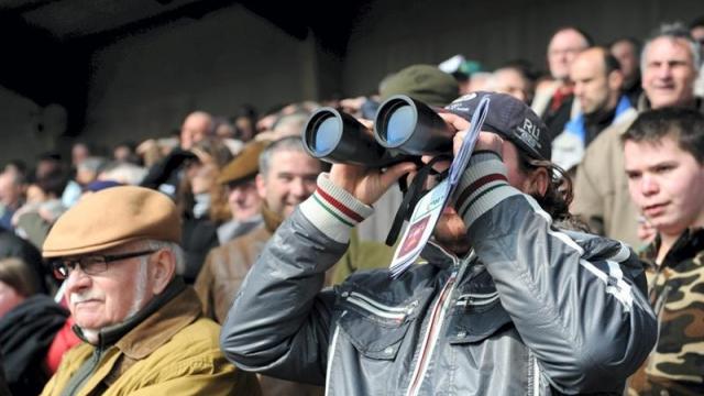 Turfiste sur un hippodrome suivant une course pmu avec ses jumelles, son pronostic est-il le meilleur ?