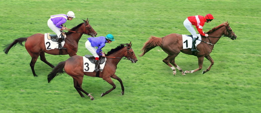 Les courses de galop sont plus faciles à pronostiquer car les disqualifications sont très rares.