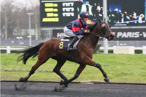 La présence du driver derrière et non pas sur le cheval favorise la vitesse du cheval en trot.